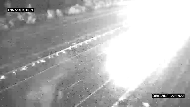 I-95 @ MM 308.9