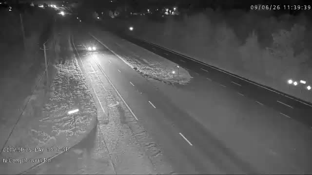 US231-MM 15.3SB-N Campflowers