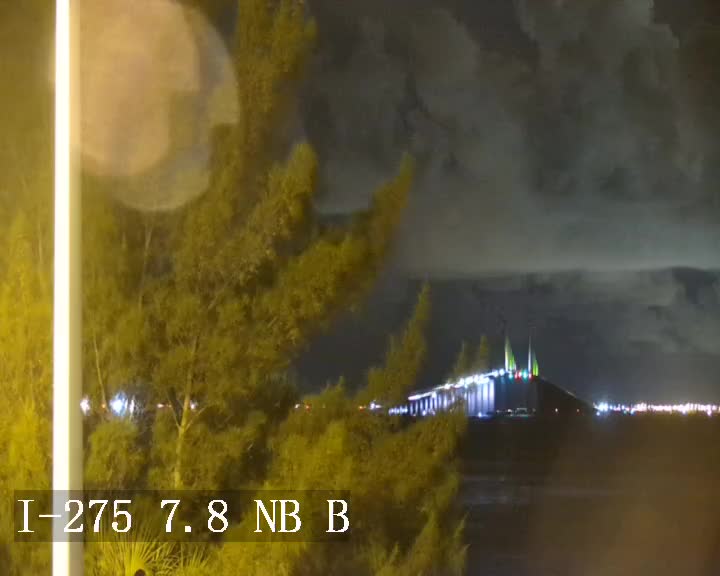Skyway Bridge View