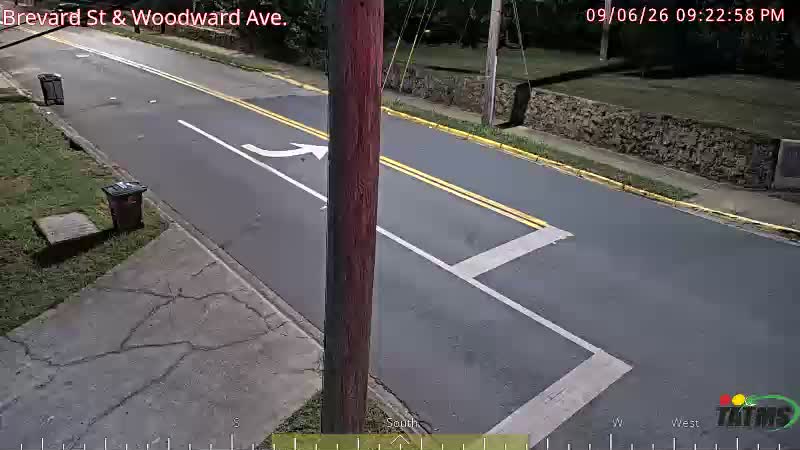 Brevard St & Woodward Ave