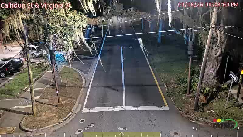 Calhoun St & Virginia St