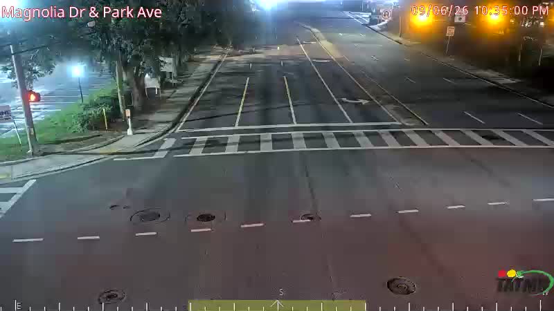 Magnolia Dr & Park Ave