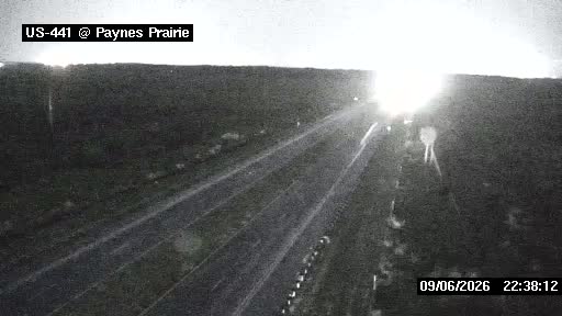 US-441 at Paynes Prairie A